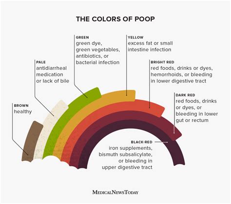 Pale Yellow Stool: Possible Causes and Factors to Consider