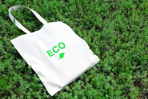 Paper Bags as Indicators of Environmental Awareness