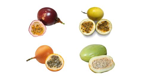 Passion Fruit Varieties: A Plethora of Tantalizing Tastes from Around the Globe