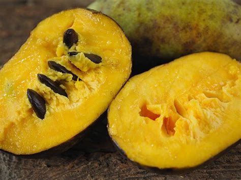 Pawpaw: An Exotic Fruit with a Tropical Flavor