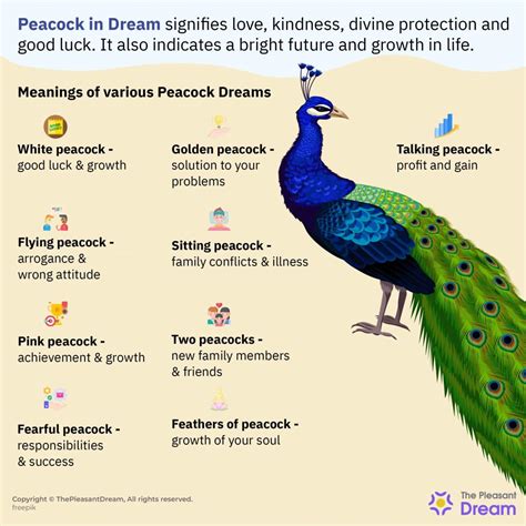 Peacock Dreams: A Portal into Personal Transformation and Maturation