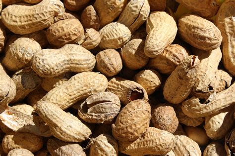 Peanut Shells as a Symbol of Deception