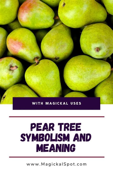 Pear Symbolism in Literature, Art, and Popular Culture: An In-Depth Analysis