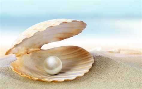 Pearl Farming: Cultivating Exquisite Gems from Marine Bivalves