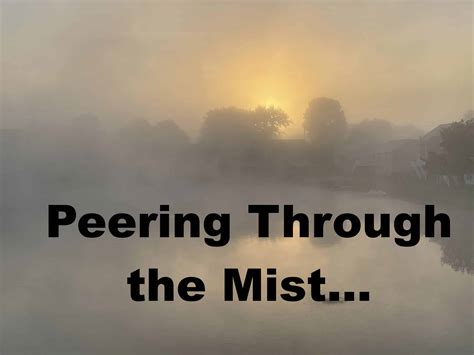 Peering Through the Mist: Gaining Insights into the Tangled Thoughts of Your Feline Companion's Slumber