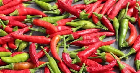 Pepper for the Win: Unleashing the Health Advantages