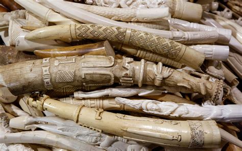 Personal Reflections: What Does the Mysterious Ivory Container Signify to You?