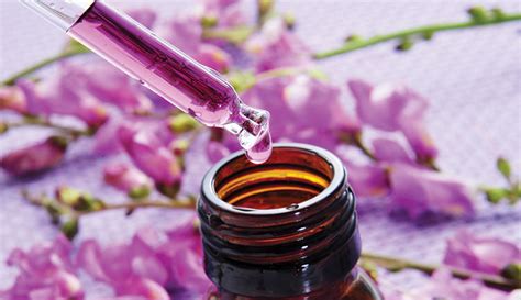 Petals in Healing: Unleashing the Therapeutic Benefits of Flower Essences