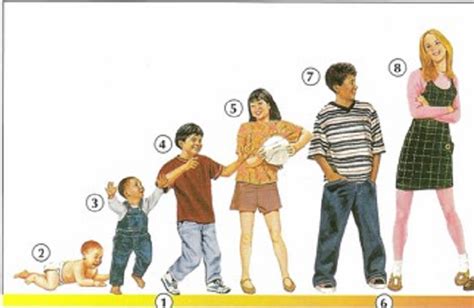 Physical Characteristics: Age, Height, and Figure