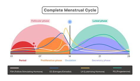 Physical Factors: How Hormonal Fluctuations Can Impact Dreams of Menstrual Discomfort