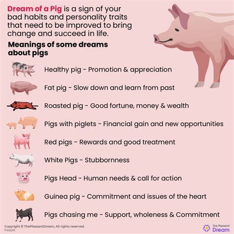 Pigs versus Dogs: Contrasting Symbolic Meanings in Dreams