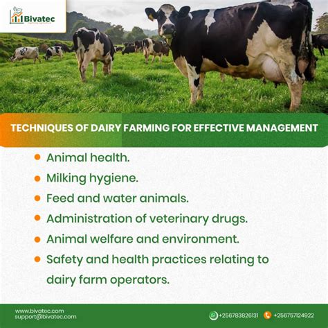 Planning and Preparing for Your Livestock Endeavor