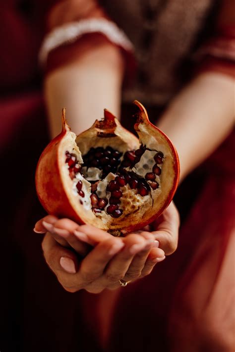 Pomegranate Symbolism in Modern Society: Fashion, Interior Design, and More