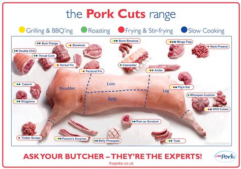 Pork Cuts: Understanding and Choosing the Best