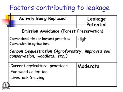 Possible Factors Contributing to Leakage in Overhead Structures during Visionary Experiences