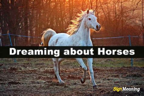 Possible Meanings: Exploring Different Interpretations of Dreaming About Ending a Horse's Life