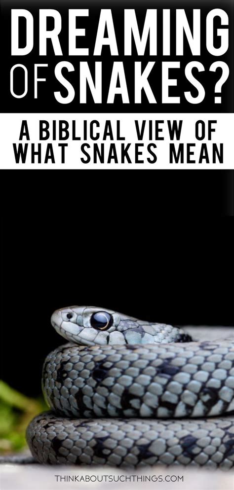 Possible Meanings and Interpretations of Snake Dreams in the Catholic Faith