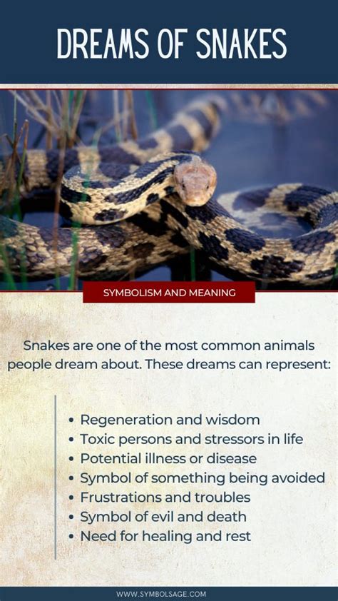 Possible Meanings of Snake Extraction Dreams