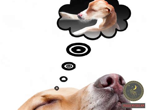 Possible Meanings of a Dream Involving a Disconnected Canine Cranium