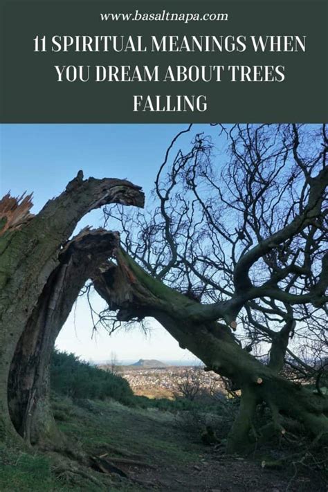 Possible Meanings of a Falling Tree Incident in Dreamscapes