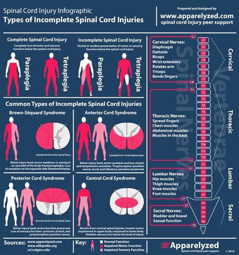 Possible Medical Conditions and Injuries