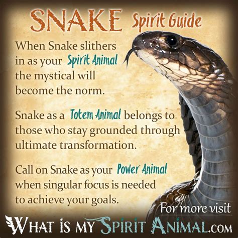 Possible Messages of a Serpent Departing from Your Residence