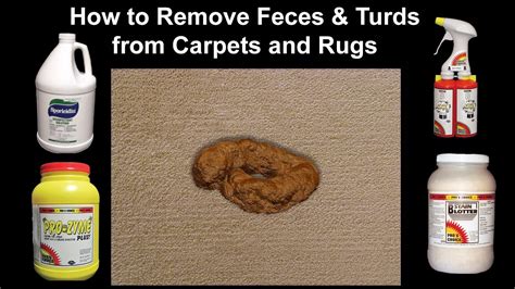 Possible Reasons behind Visions of Excrement on Flooring