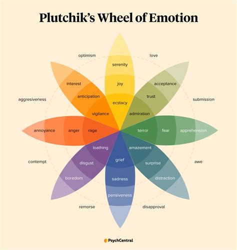 Possible underlying emotions and fears represented in the dream