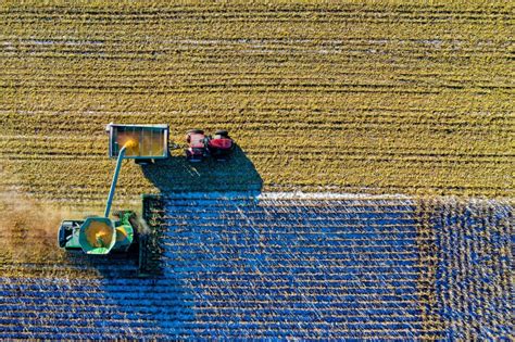 Post-Harvest Handling: Ensuring Quality and Storage Efficiency