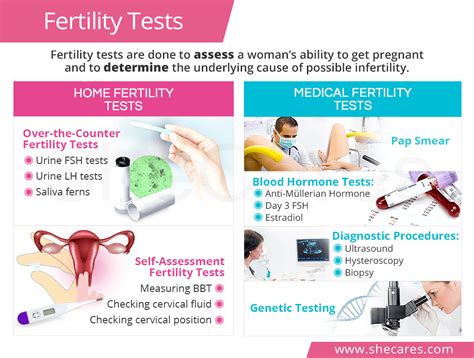 Potential Connections Between Dreams of Pregnancy Tests and Fertility Concerns