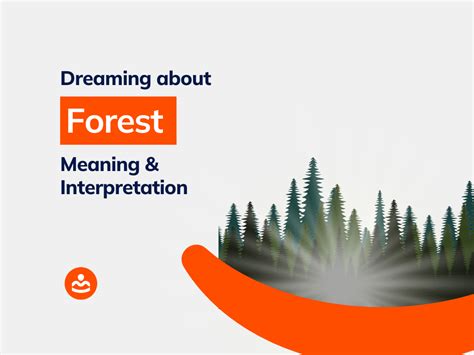 Potential Interpretations of the Dream's Setting: The Forest