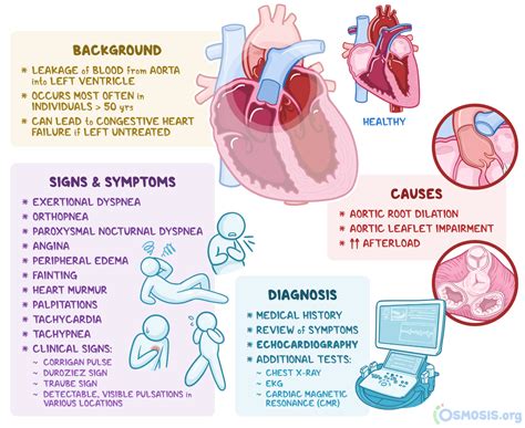 Potential Physical Factors Contributing to Dreams of Regurgitation on the Surface