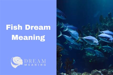 Practical Steps to Uncover the Hidden Messages in Aquatic and Enormous Fish Dreams