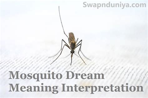 Practical Strategies to Overcome Troublesome Mosquito Dream
