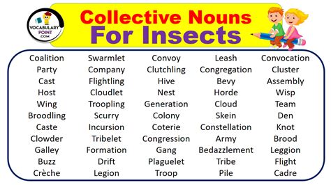 Practical Tips: How to Apply the Interpretation of a Collective Insect in Your Life