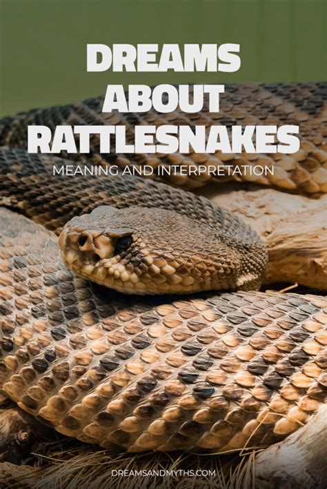 Practical Tips for Coping with Dreaming about Rattlesnakes