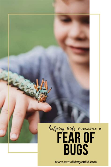 Practical Tips for Overcoming Fear of Bugs in Real Life