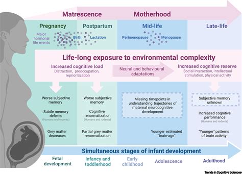 Pregnancy and its Impact on Dreams