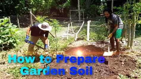 Preparing Your Soil for a Thriving and Bountiful Spring Garden