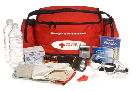 Preparing for Emergencies: Building a First Aid Kit and Creating a Disaster Plan for Your Feline Friend