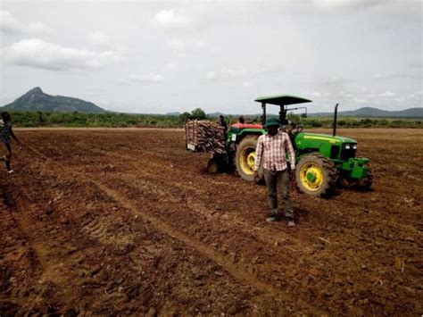 Preparing the Land for a Successful Cassava Plantation