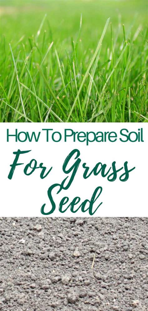 Preparing the Soil: Essential Steps for a Healthy Lawn