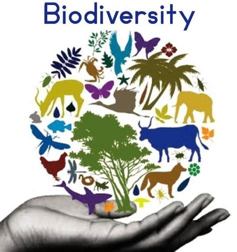 Preserving Biodiversity