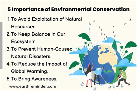 Preserving Our Beautiful Earth: Recognizing the Significance of Conservation and Sustainable Practices