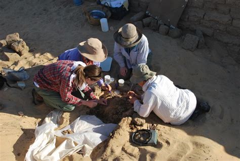 Preserving the Legacy: Significance of Archaeological Conservation