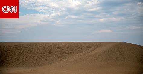 Preserving the Magnificence: Challenges and Conservation Efforts for Sand Dunes