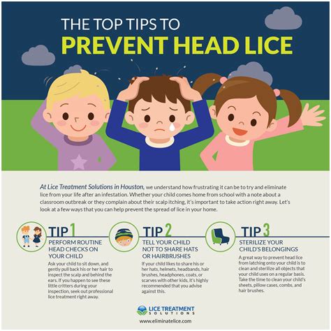 Preventative Measures: Tips and Practices to Avoid Lice Infestation