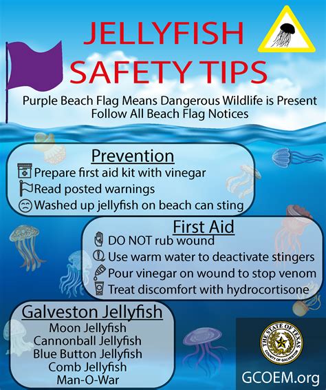 Preventing and Managing Jellyfish Stings: Ensuring Safety in the Water