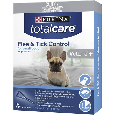 Prevention and Control of Fleas in Young Dogs