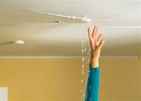 Proactive Measures to Safeguard Your Home against Roof Leakage and Water Damage